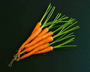 Picture of a bunch of carrots